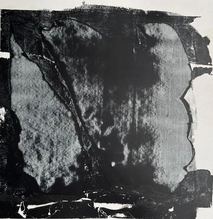 202602021139259.jpg 2.jpg