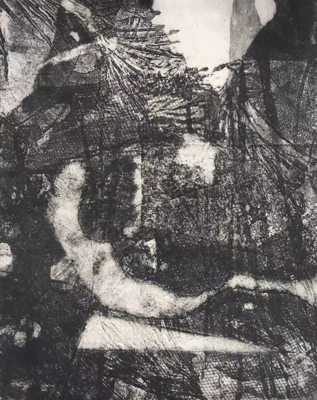 202602021142208.jpg 5.jpg