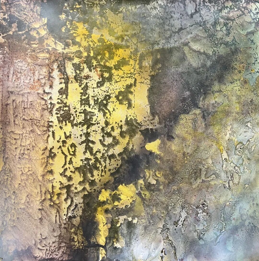 202602021147215.jpg 8.jpg