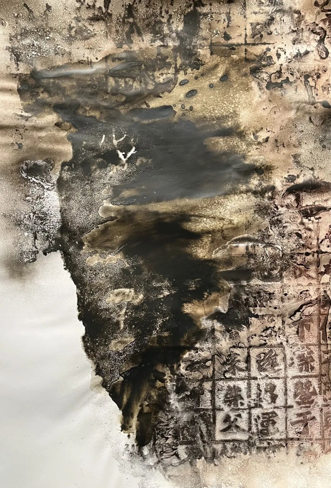 202602021147407.jpg 11.jpg