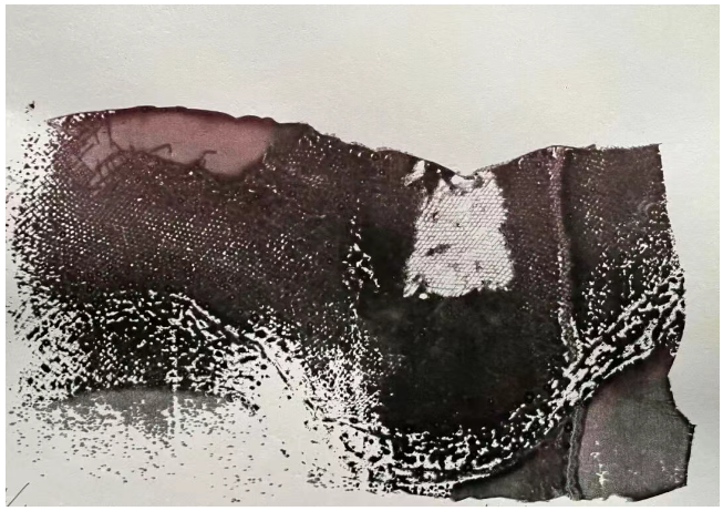 202603040948347.png image.png