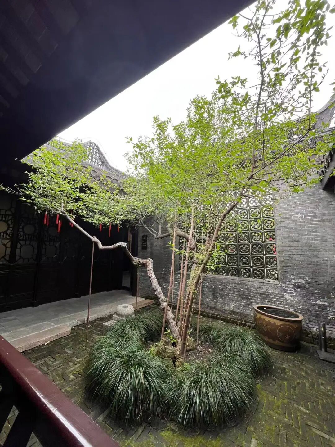 202604130931376.jpg 2.jpg