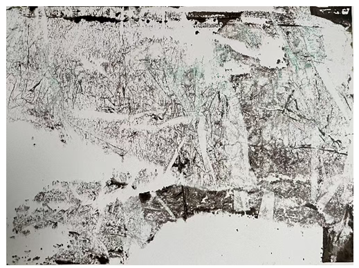 202603091033354.png image.png